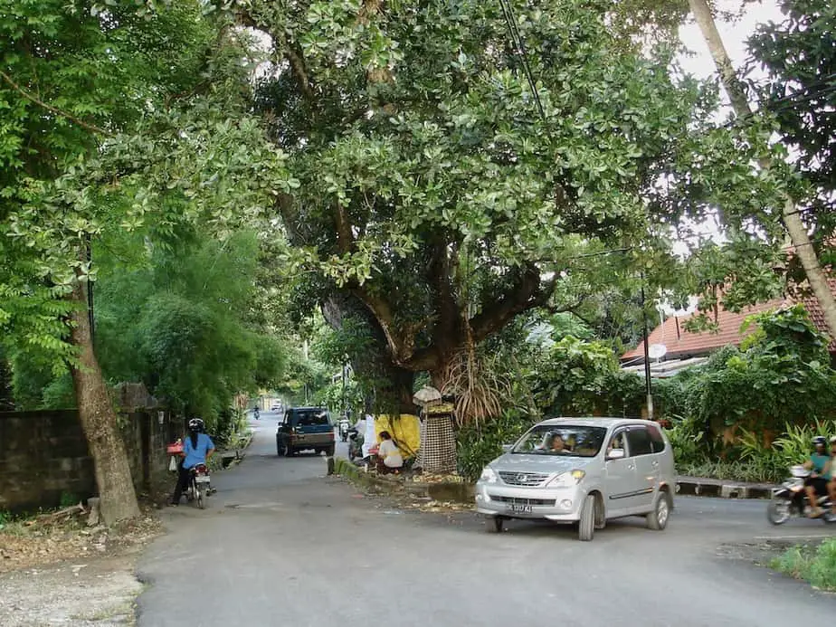 Suzuki Avanza on Mertasari Road in Sanur