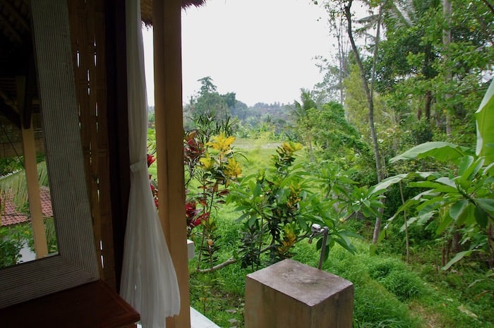view on the rice fields from a balinese massage treatment room in ubud