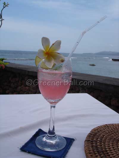 ice cubes drinks bali 