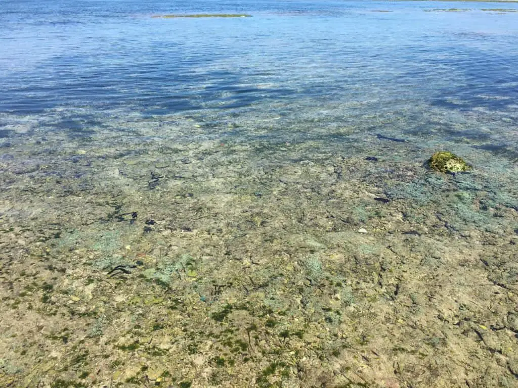 crystal clear water between dreamland beach and uluwatu beach