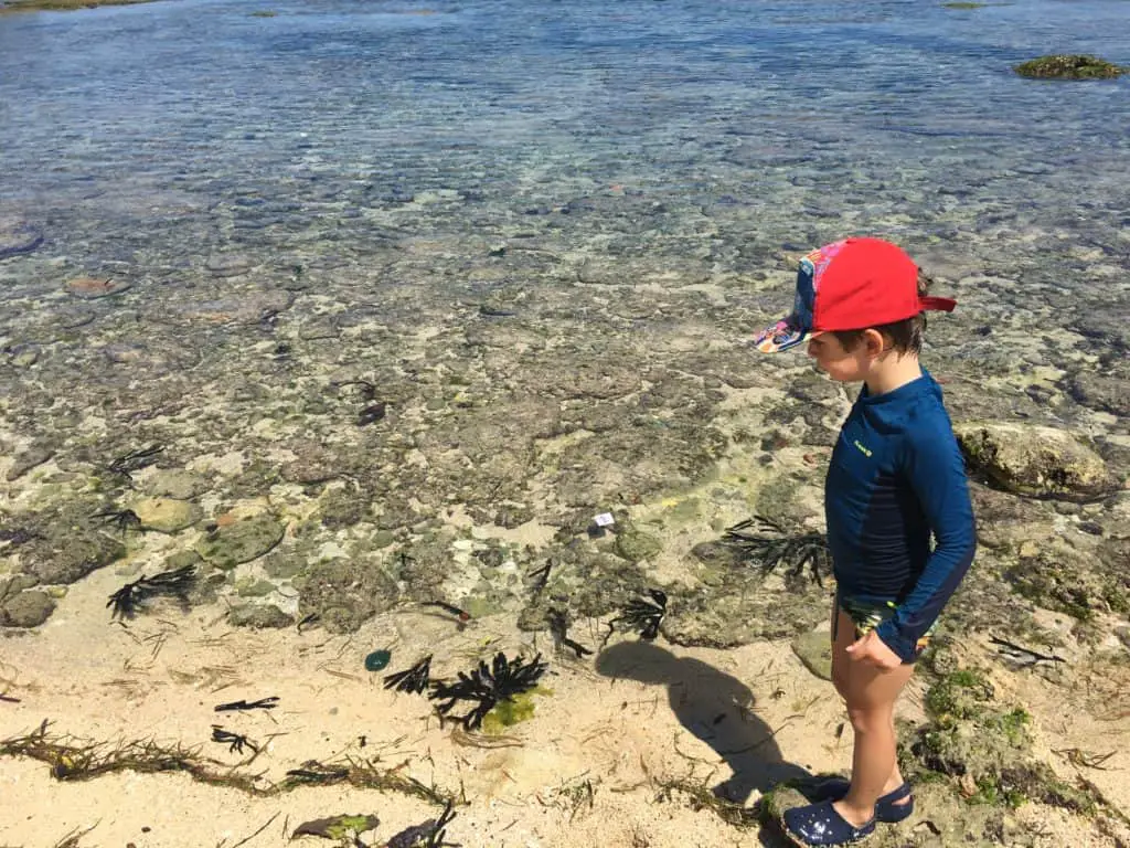 our son is looking for sea life at Balangan Beach