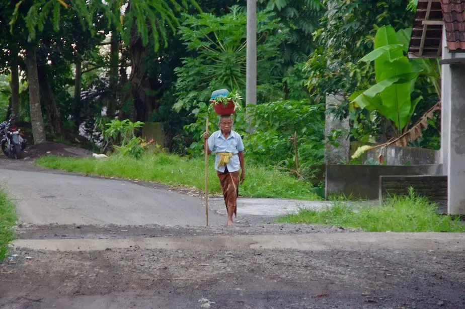 rural scenes in bali