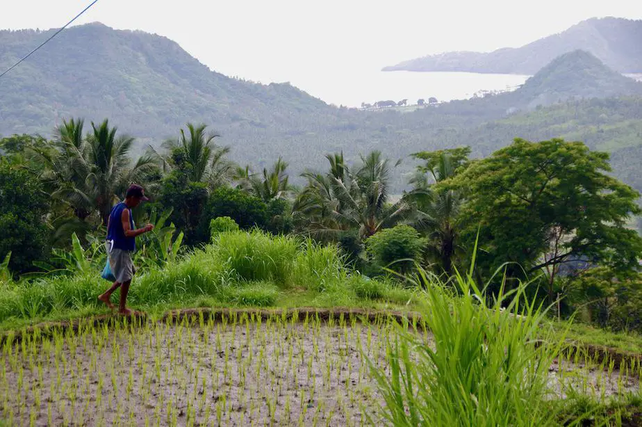 drive to sidemen to padangbai or candidasa