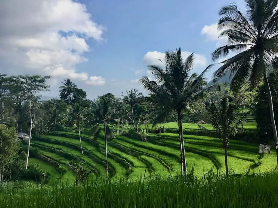 sidemen loop bali