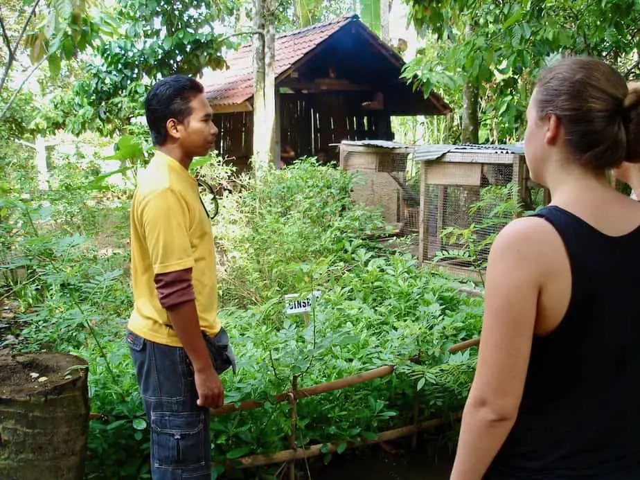 coffee plantation visit during a bike tour in Bali