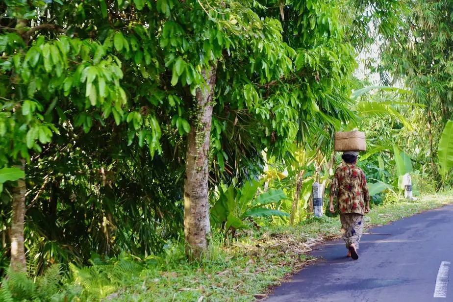 balinese woman carrying a basket on her head