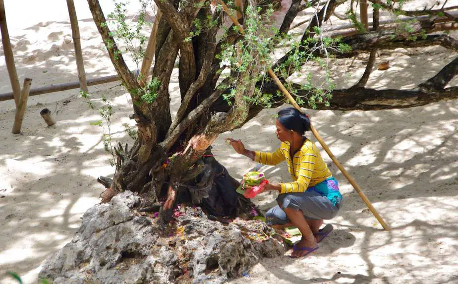 Balinese woman placing offerings at a tree on the beach in Padangbai
