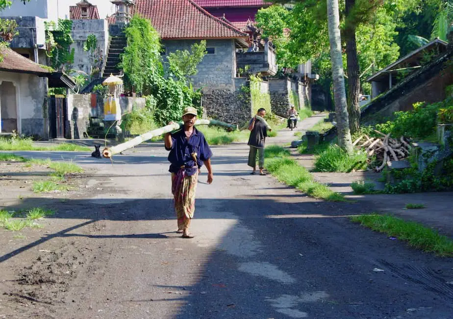 Balinese men walking with bamboo on their shoulders