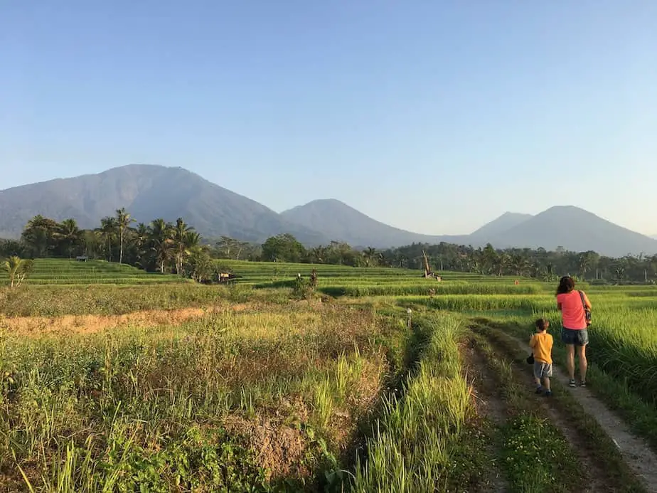 walking through the rice fields near Mount Batukaru