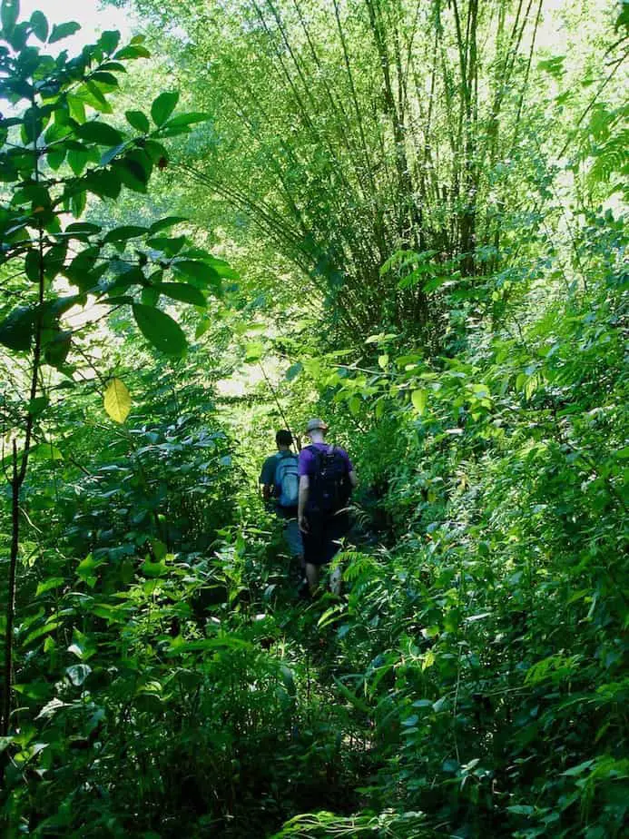 Munduk jungle trekking with our guide