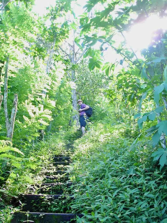 hiking through the forest in Munduk