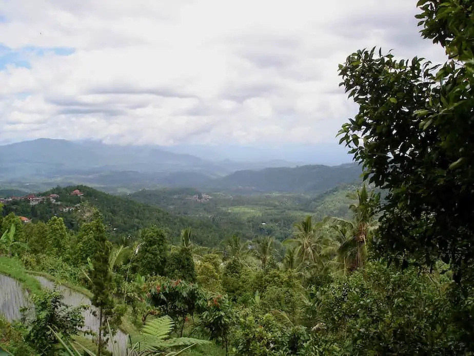 view on the mountains and jungle in North Bali