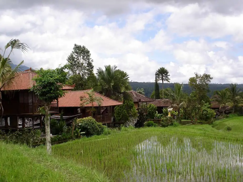Puri Lumbung Cottages next to the ricefields in Munduk