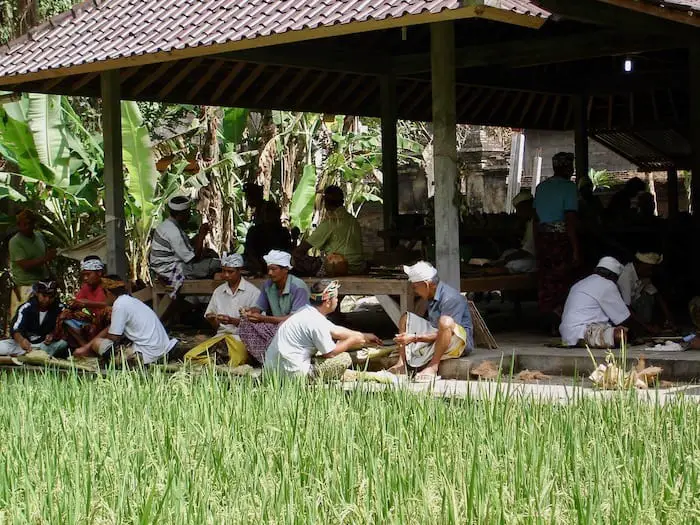 Balinese men preparing lawar together at the goa gajah temple
