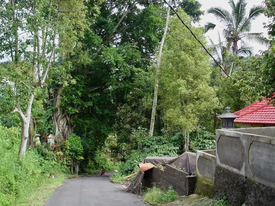 road through the mountains at Munduk