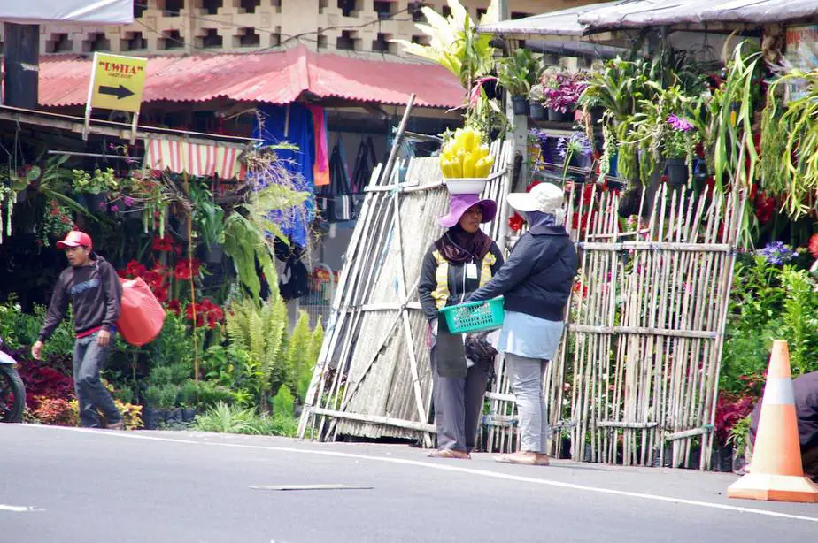 selling corn on the market in Bedugul