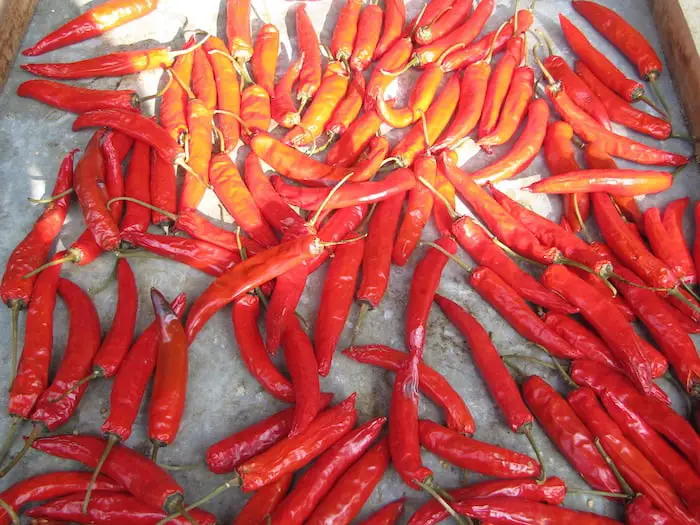 chilis for sale on the market in bali