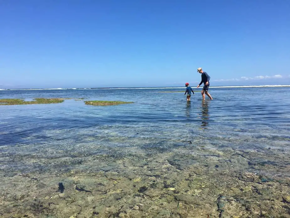 searching for sea life during low tide at Balangan Beach in Bali