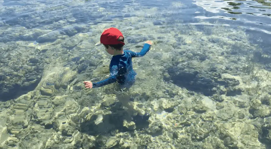 little boy looking for sea life in Balangan