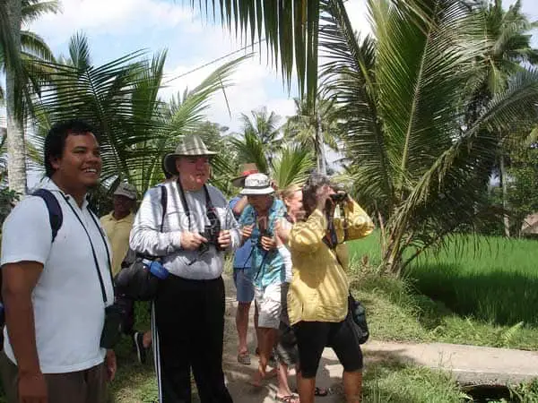 bali bird watching in the rice fields near ubud