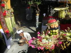 offerings sanur bali culture