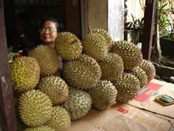durian, fruit with spikes