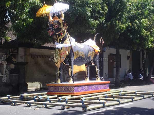 ngaben bull bali 