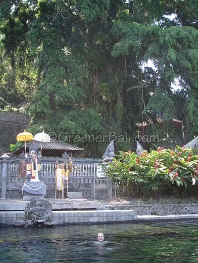 swimming at tirta gangga water palace in bali 