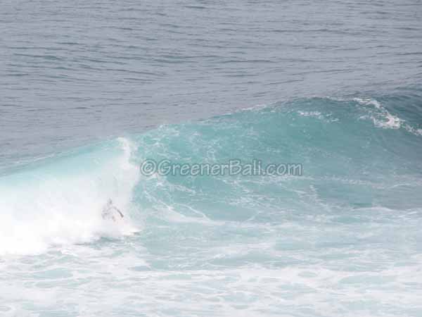 surfing at uluwatu beach bali