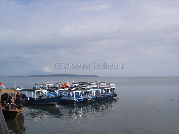 boats for menjangan island