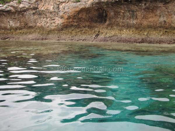 snorkeling and diving menjangan island bali