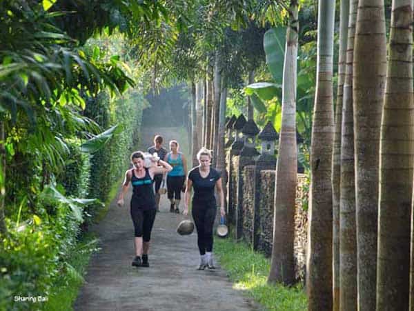 sharing bali bootcamp 