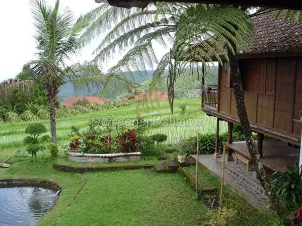 eco accommodation in bali