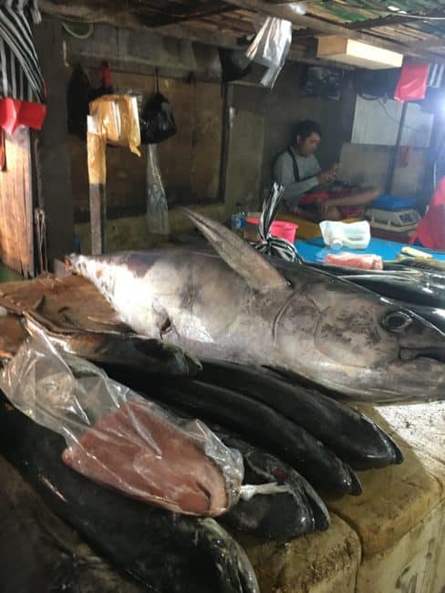 fish on display at the jimbaran fish market