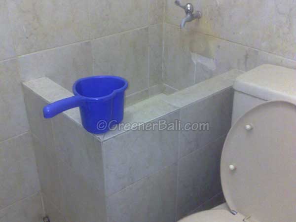 bali health toilet