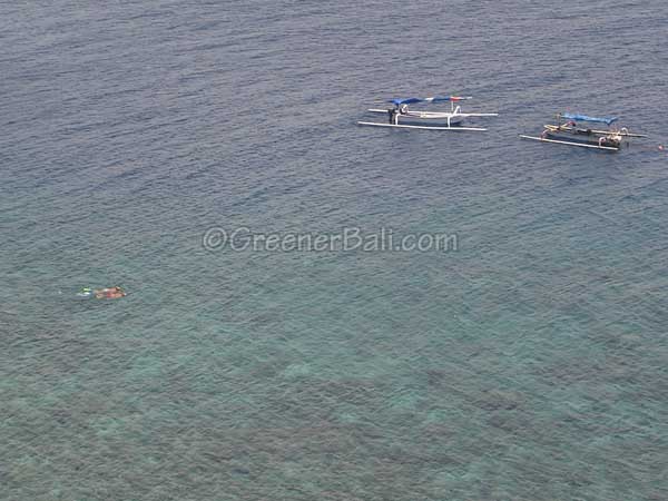 snorkelling at amed