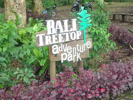 tree top climbing things to do in Bali