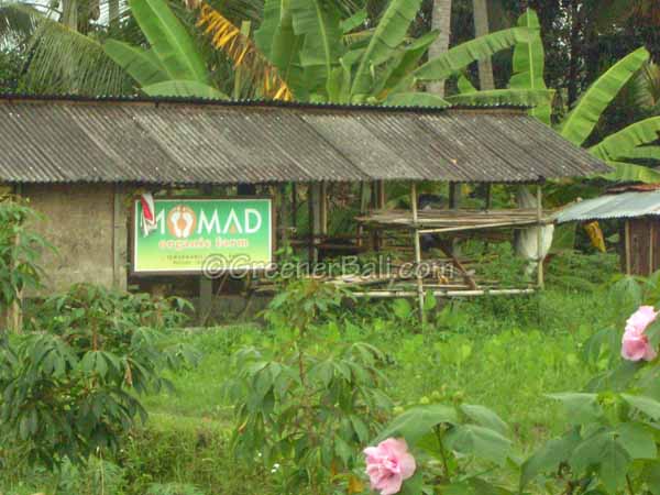 organic garden nomads ubud 