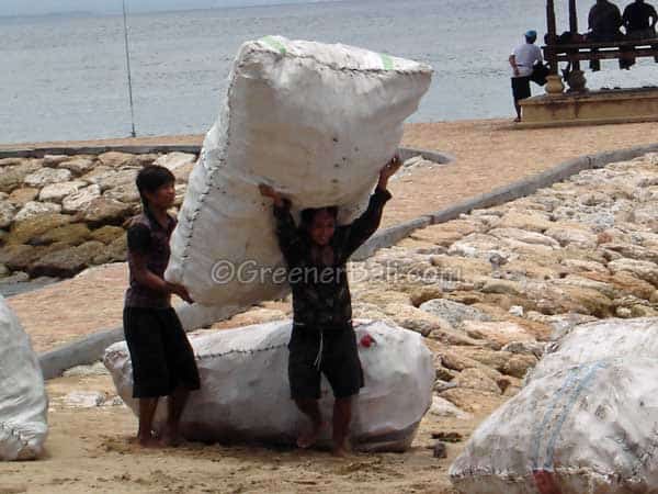 garbage recycling in bali 