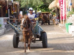 horse cart at gili trawangan near bali
