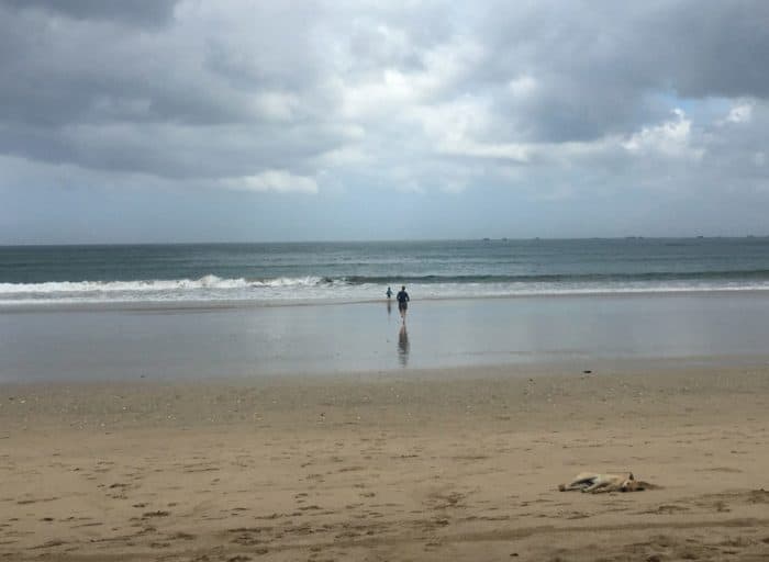 grey and dark clouds over jimbaran beach while a dog is sleeping