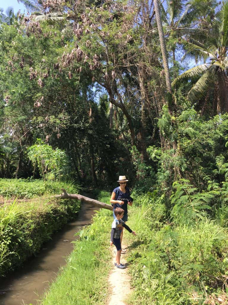 following a small stream during our rice field walk in ubud