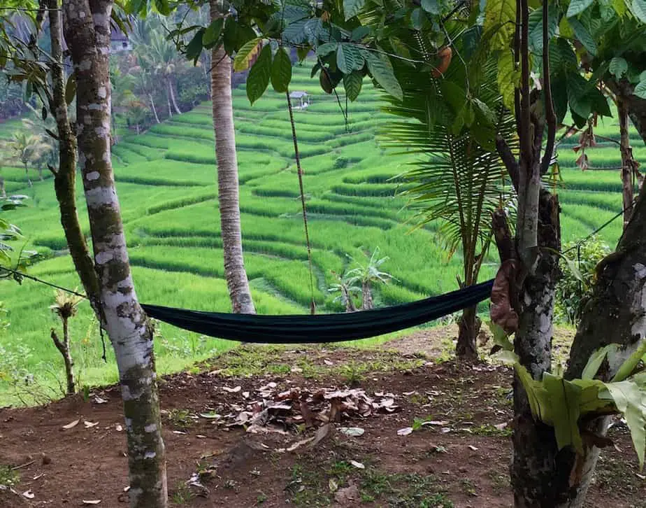 view from Sari Devi Eco resort near Batukaru
