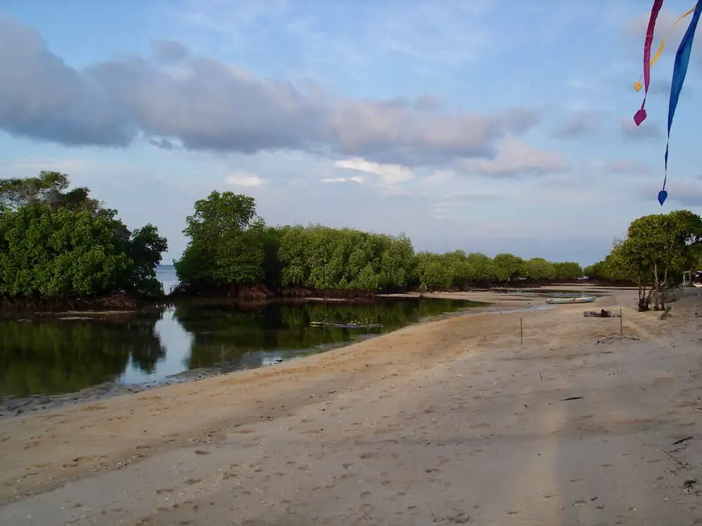 start of the mangrove forest at Nusa Lembongan