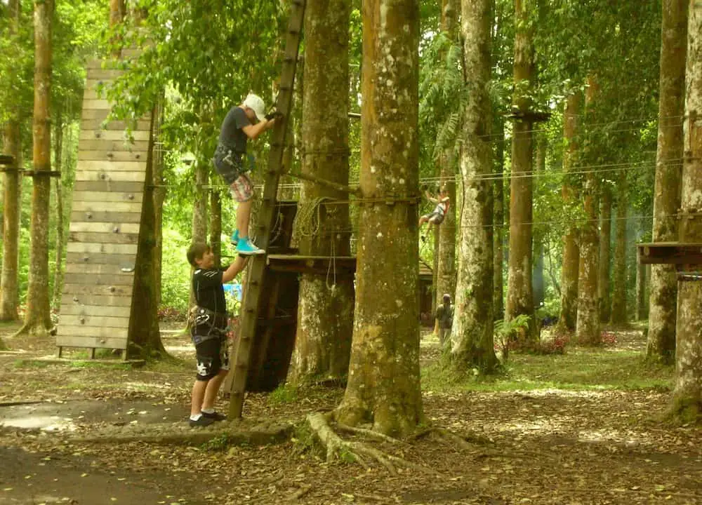 tree climbing in Bali at the treetop adventure park near Bedugul