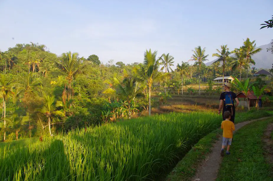 hiking in Batukaru is one of the best things to do in Bali