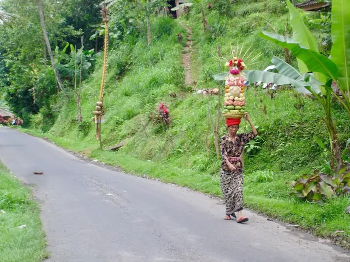 balinese woman with huge offerings on her head near Jatiluwih rice fields