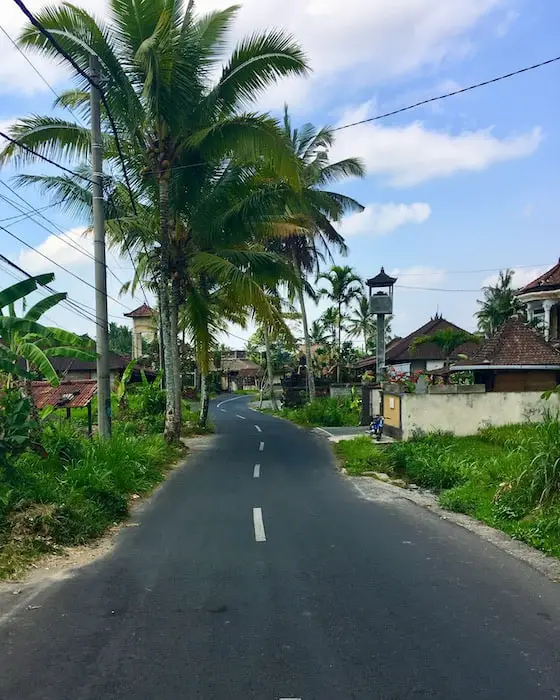 typical Balinese road north of Ubud