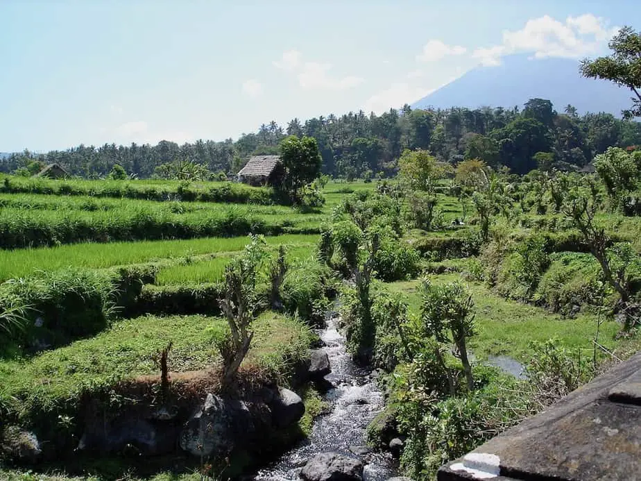 stream through the rice fields of Tirtagangga with Mount Agung in the background