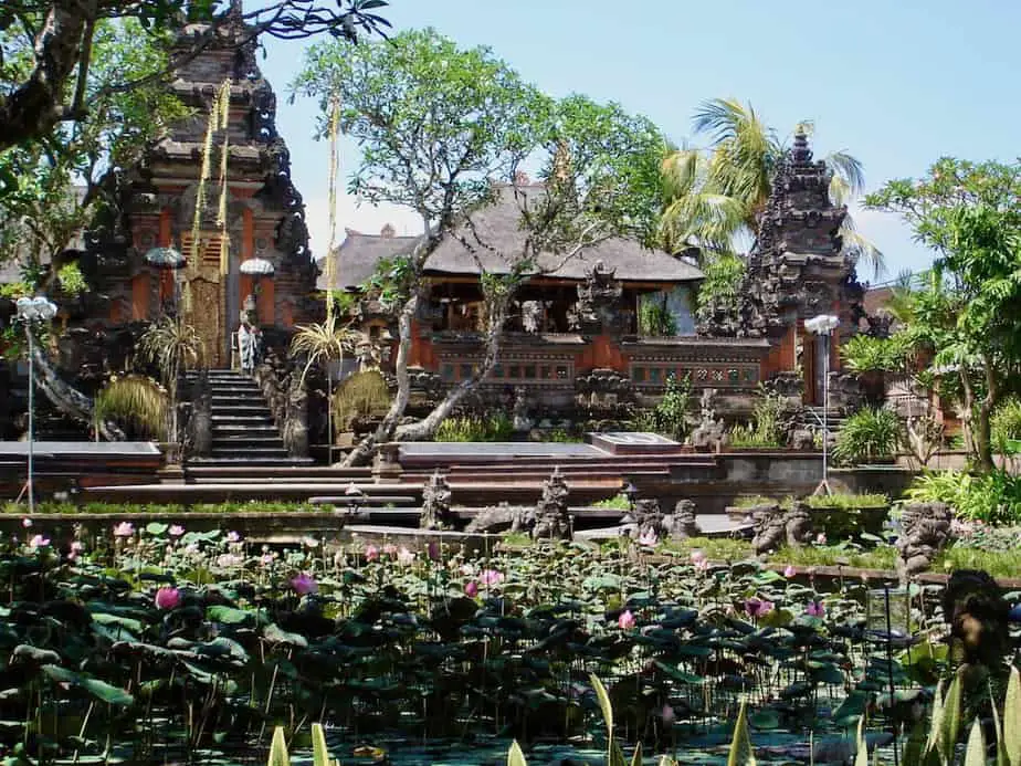 the lotus pond at the Taman Saraswati Temple in Ubud